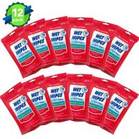 Disinfectant Wipes(12Packs,360Wipes) Soft Antiseptic Cleaning Sterilization Wipes Detergent Large Wet Wipes for All Daily Protection
