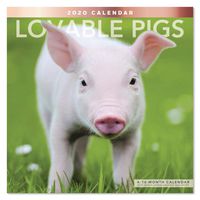 2020 Lovable Pigs Wall Calendar (LME3401020)