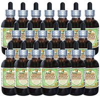 Angelica Chinese (Angelica Sinensis) Glycerite, Organic Dried Root Alcohol-Free Liquid Extract (Brand Name: HerbalTerra, Proudly Made in USA) 20x4 fl.oz (20x120 ml)