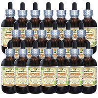 Artichoke (Cynara scolymus) Tincture, Organic Dried Leaf Liquid Extract (Brand Name: HerbalTerra, Proudly Made in USA) 20x4 fl.oz (20x120 ml)