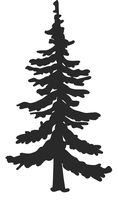 hBARSCI Pine Tree Vinyl Decal - 5 Inches - for Cars, Trucks, Windows, Laptops, Tablets, Outdoor-Grade 2.5mil Thick Vinyl - Matte Black