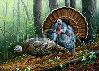 Hi-Look Microfiber Cleaning Cloth - Habitat Stamp