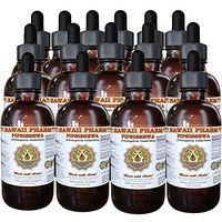 Pipsissewa (Chimaphila umbellata) Liquid Extract 15x4 oz
