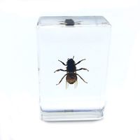 Honey Bee Science Specimen in Acrylic Block Paperweights Science Classroom Specimens for Science Education(1.7x1.1x0.6 Inch)