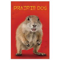 Tree-Free Greetings ECOnotes Blank Note Cards, Matching Envelopes, Blank Stationary Card Set, 4" x 6", Prairie Dog, Pack of 12 (FS56055)