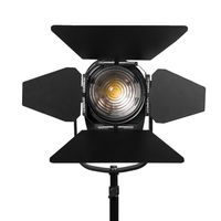 Ikan WS-F100 White Star 4" Fresnel 100 Watt Light (Black)