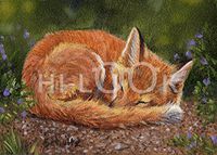 Hi-Look Microfiber Cleaning Cloth - Sleeping Fox