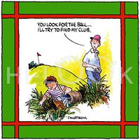 Hi-Look Microfiber Cleaning Cloth - Look for your Ball