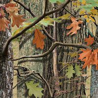 Club Pack of 216 Hunting Camo Premium 2-Ply Disposable Lunch Napkins 6.5"