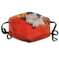 YUIOP Cute Little Cat Pumpkin Printed Mask Neutral Mask for Men and Women Polyester Dust-Proof Breathable Mask