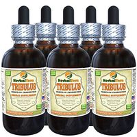 Tribulus (Tribulus Terrestris) Tincture, Organic Dried Fruits Liquid Extract (Brand Name: HerbalTerra, Proudly Made in USA) 5x2 fl.oz (5x60 ml)