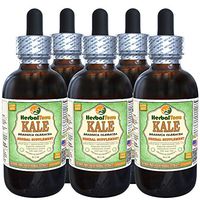 Kale, Red Spiderling (Brassica Oleracea) Dried Leaf Alcohol-Free Liquid Extract (Brand Name: HerbalTerra, Proudly Made in USA) 5x2 oz