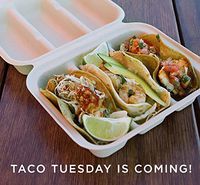 WC Compostable Plant Fiber 8x7x3 Equal Three Compartment Take Out Containers (Taco Box). Pack of 100.