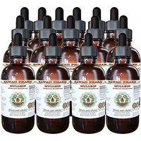 Mullein Alcohol-Free Liquid Extract, Organic Mullein (Verbascum densiflorum) Dried Flower Glycerite Natural Herbal Supplement, Hawaii Pharm, USA 15x4 oz
