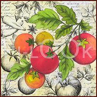 Hi-Look Microfiber Cleaning Cloth - Tomatoes