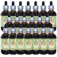 Garlic (Allium Sativum) Glycerite, Organic Dried Alcohol-Free Liquid Extract (Brand Name: HerbalTerra, Proudly Made in USA) 20x4 fl.oz (20x120 ml)