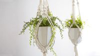 Make a Classic Macramé Plant Hanger