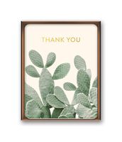 Studio Oh! Artisan Note Cards Available in 6 Designs, Thank You, A Closer Look Cactus, Box of 8