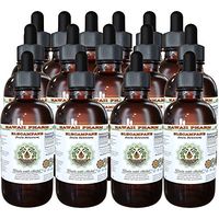 Elecampane Alcohol-Free Liquid Extract, Organic Elecampane (Inula Helenium) Dried Root Glycerite Hawaii Pharm Natural Herbal Supplement 15x4 oz