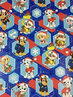 Nickelodeon PAW Patrols Children's Christmas Gift Wrapping Paper 40 Sq Feet