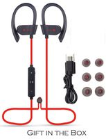 Safari Hyvton Special Edition Bluetooth Workout Headphones for Running and Gym with Wireless Earbuds and built in Mic for Hands Free Calling