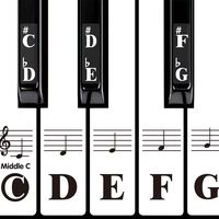 DRMFSLS Kids Piano Keyboard Stickers for 88/61/54/49/37 Key. Colorful Large Bold Letter Piano Stickers Perfect for kids Learning Piano. Multi-Color,Transparent,Removable