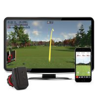Rapsodo R-Motion and The Golf Club Simulator and Swing Analyzer