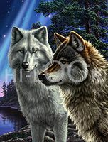 Hi-Look Microfiber Cleaning Cloth - Together Wolves
