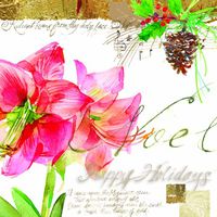 Paperproducts Design 7521 Holiday Paper Napkin for Cocktail, 5 by 5-Inch, Amaryllis De Noel