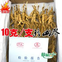 500 Grams (1.1 lb) Dry Transplant Wild Ginseng Root Herbs, About 20 Years, Relative Integrity