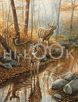 Hi-Look Microfiber Cleaning Cloth - Backwater Passage