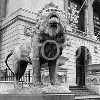 Hi-Look Microfiber Cleaning Cloth - The Art Institute