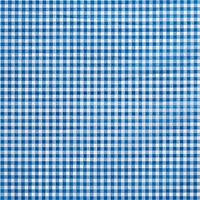 Blue Gingham Printed Tissue Paper for Gift Wrapping, 24 Large Sheets (20x30), White and Bright Blue Check