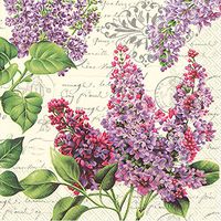Celebrate the Home Floral 3-Ply Paper Luncheon Napkins, Lilac Letter, 16-Count