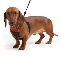 SPORN! Nylon Non Pulling Dog Harness, Small, Red