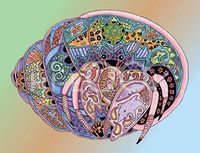 Hi-Look Microfiber Cleaning Cloth - Hermit Crab