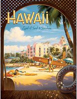 Hi-Look Microfiber Cleaning Cloth - Land of Surf ane Sunshine