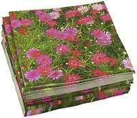 100-Pack Decorative Napkins - Pink Daisy Floral Print Disposable Paper Party Napkins - Soft and Absorbent Cocktail Napkins for Luncheon, Dinner and Celebration, Pink, 13 x 13 Inches