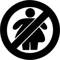 No Fat Chicks JDM Vinyl Decal Sticker Drift Slammed Lowered Race for Car Window Laptop (5.5" inches (Black)
