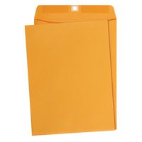 AmazonBasics 9 x 12-Inch Clasp Kraft Envelopes, Gummed, 100 per box