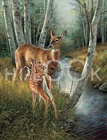 Hi-Look Microfiber Cleaning Cloth - Birch Creek