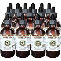 Cilantro Alcohol-Free Liquid Extract, Organic Cilantro (Coriandrum Sativum) Dried Leaf Glycerite Hawaii Pharm Natural Herbal Supplement 15x4 oz