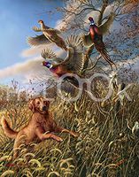 Hi-Look Microfiber Cleaning Cloth - Black Jack