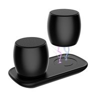Bluetooth Speakers, Portable True Wireless Speaker with Built-in-Mic, Tiamat Thunder Beats Stereo Speakers Set with HD Sound Long Lasting for Android Smartphone and More