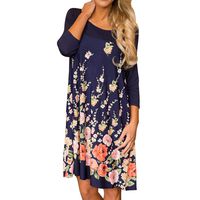 Goddessvan Womens Casual Long Sleeve Print Pocket Dress Loose O Neck Dress (Blue, S)