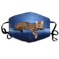 YUIOP Beautiful Bengal Cat Printed Mask Neutral Mask for Men and Women Polyester Dust-Proof Breathable Mask