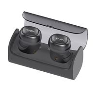 Bluetooth Earbud LiteXim Bluetooth V4.1 High Fidelity Quality 3D Stereo Surrounding SoundWireless Earphones with Charging Case (IPX5 Waterproof, with Mic, Passive Noise Reduction)