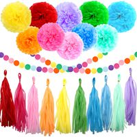 ZJHAI 61pcs Rainbow Party Decoration Tissue Paper Pom Poms, Tassel Garland and Circle Dots Hanging Decorations