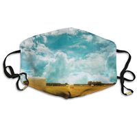 YUIOP Dream Clouds Gold Field Printed Mask Neutral Mask for Men and Women Polyester Dust-Proof Breathable Mask