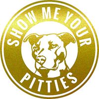 Pitbull Show Me Your Pitties Vinyl Decal Sticker | Cars Trucks Walls Vans Windows Laptops | Gold | 5.5 X 5.5 Inches | KCD1836G